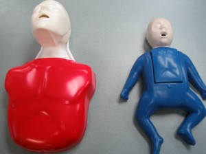 Adult and Infant CPR Manikins