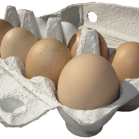 On-Line Food Safety Certification Course